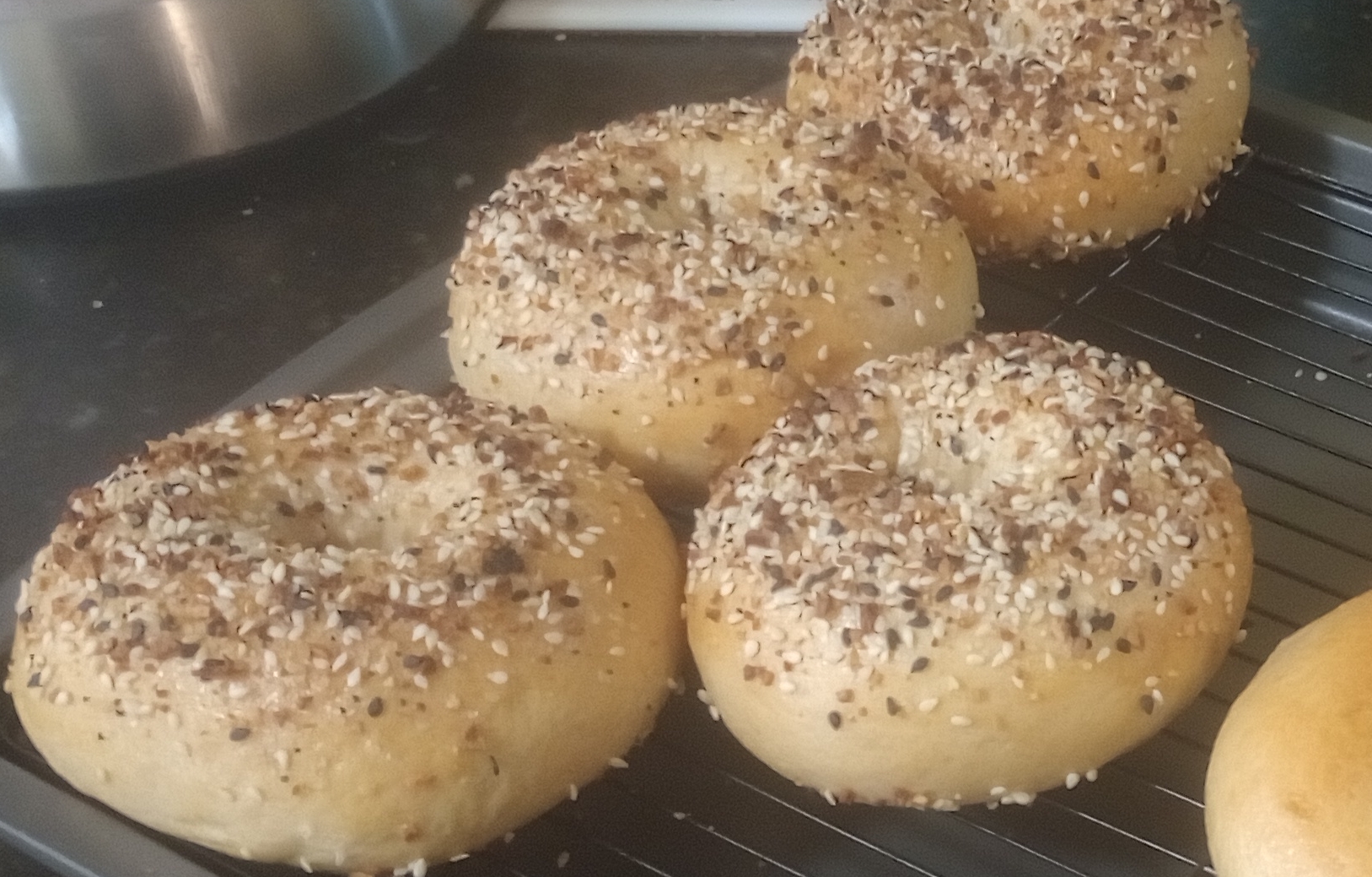 fresh baked everything bagels